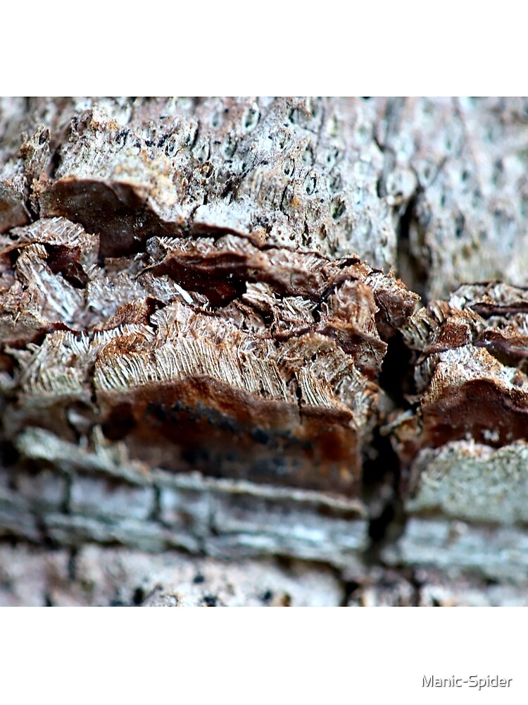 Thumbnail 3 of 3, Scarf, Tree Bark Pattern II designed and sold by Manic-Spider.