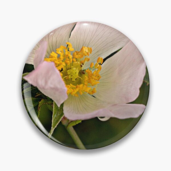 Item preview, Wild pink flower designed and sold by HaleyRedshaw.