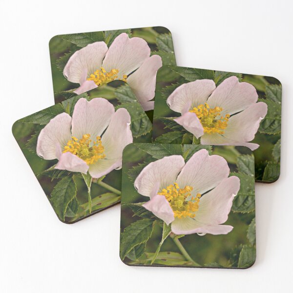 Item preview, Wild pink flower designed and sold by HaleyRedshaw.