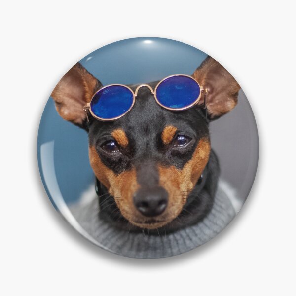 Item preview, litogodfather miniature pinscher dog wearing sunglassed with camera designed and sold by marshmallowhobo.