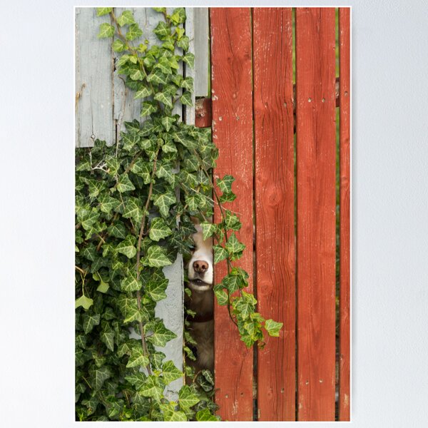 Item preview, Through the Fence designed and sold by Joy  Rector.