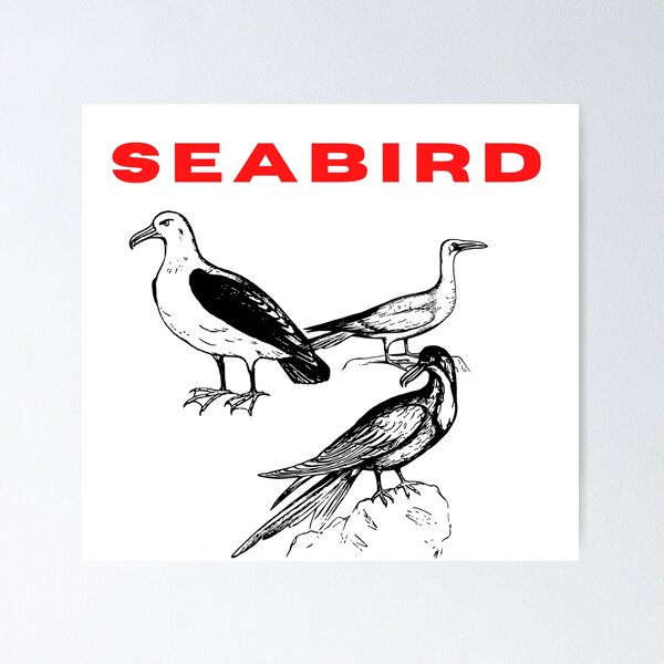 Item preview, Seabird designed and sold by The Full Cart.