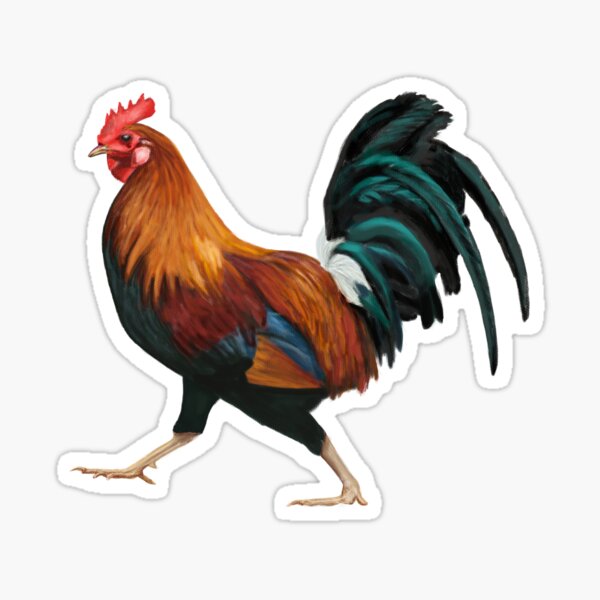 Cocky Rooster Sticker By Hayesathome Redbubble