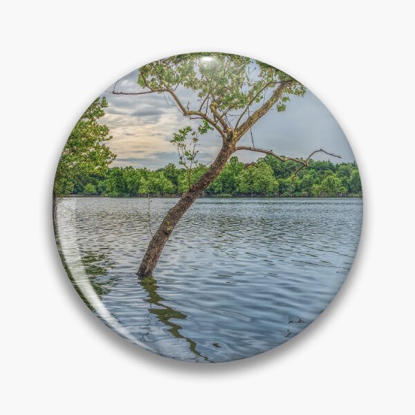Artikelvorschau, Kajak schwimmt auf dem Table Rock Lake entworfen und verkauft von mljdwhite.