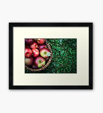 Apple Basket Framed Print