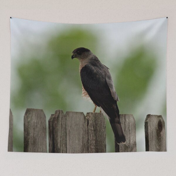 Item preview, Backside of a Sharp Shinned Hawk designed and sold by Susie Kramer.