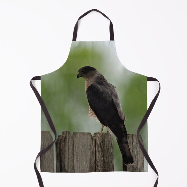 Item preview, Backside of a Sharp Shinned Hawk designed and sold by Susie Kramer.