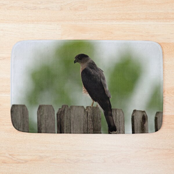 Item preview, Backside of a Sharp Shinned Hawk designed and sold by Susie Kramer.