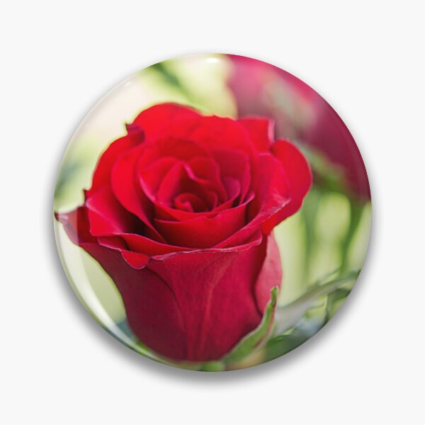 Item preview, Red Roses for Love designed and sold by Linda Lees.
