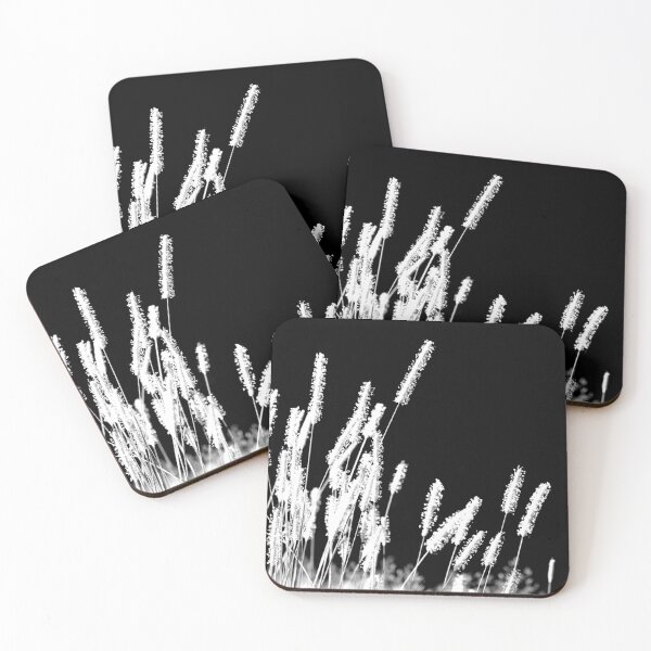 Moonlight Meadowgrass Coasters (Set of 4)