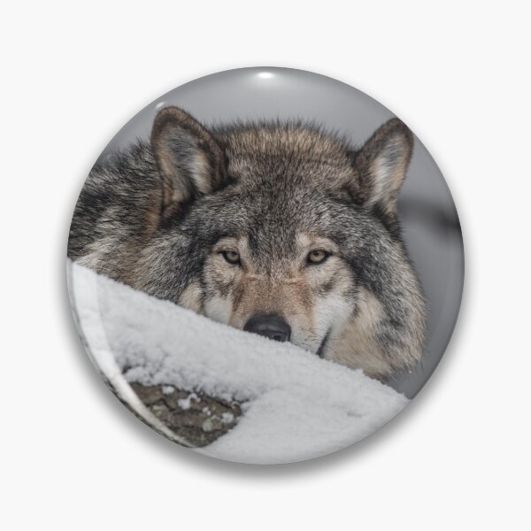 Item preview, Eastern Gray Wolf  designed and sold by Michael Cummings.