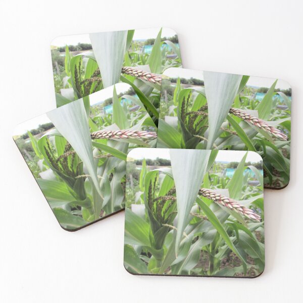 Item preview, Maize/Corn Flower Tassels designed and sold by GoNatureDesigns.