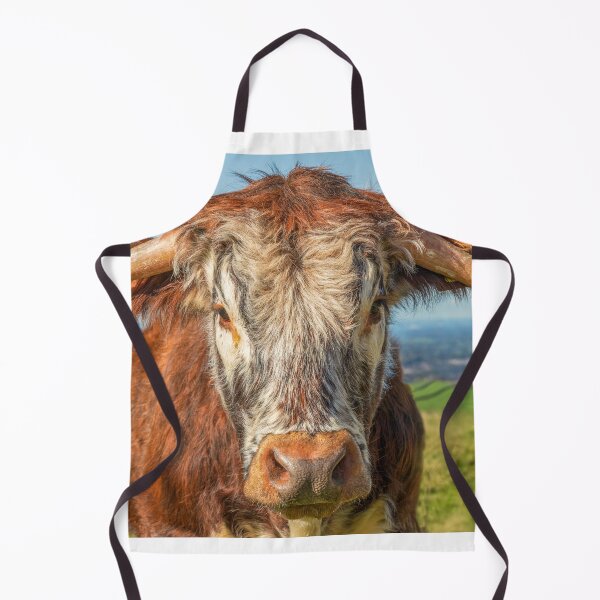 Item preview, Cow Face Portrait.  Longhorn Cow Bullock - prints greeting cards designed and sold by Chris Warham.