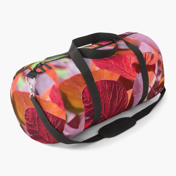 Item preview, Everything is Extraordinary designed and sold by Linda Lees.