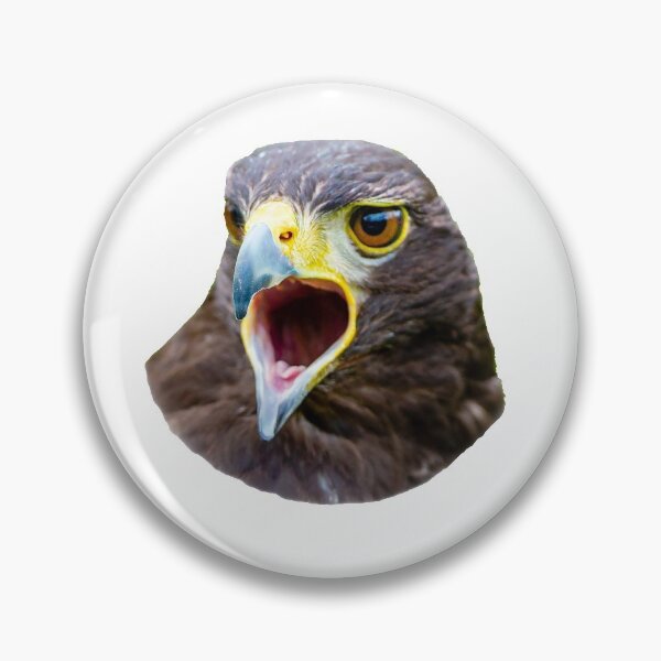 Item preview, Screaming Harris Hawk designed and sold by Dalyndigital Photography.