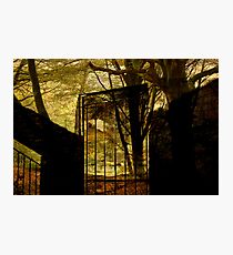 Historic .. Photographic Print