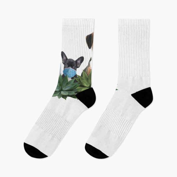 Item preview, cat, French Bulldog, bunny and Jack Russell Terrier behind green agave succulent plants designed and sold by Move-Art.
