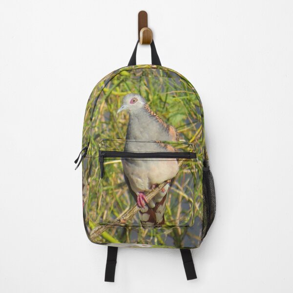 Item preview, Bar-shouldered Dove designed and sold by Genevieve Hanlon Art and Photography.
