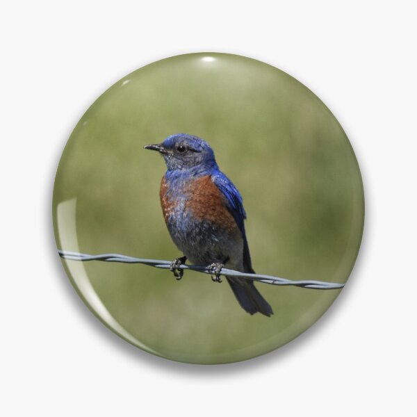 Item preview, Bluebird on a Wire designed and sold by Dana Hardy.