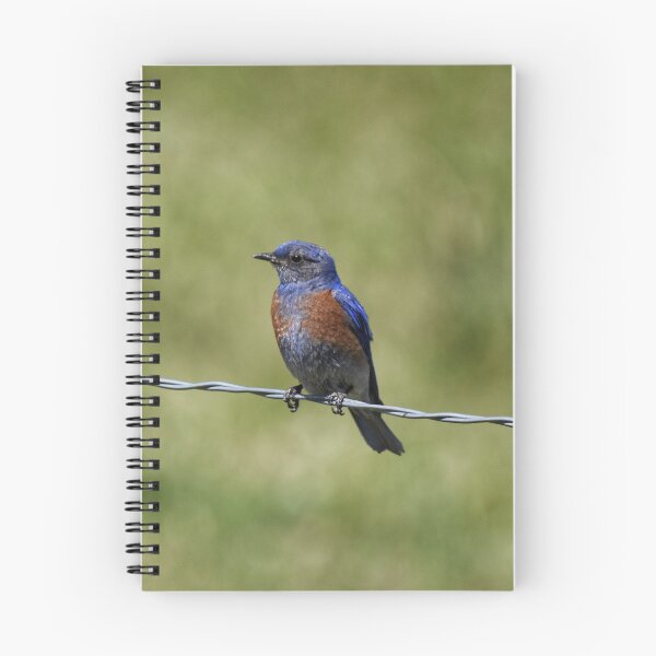 Item preview, Bluebird on a Wire designed and sold by Dana Hardy.