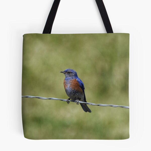 Item preview, Bluebird on a Wire designed and sold by Dana Hardy.