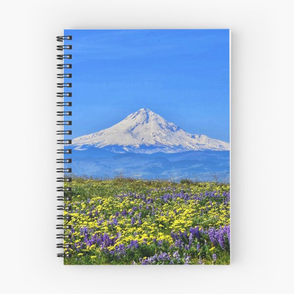 Aperçu de l'œuvre Mt. Capuche et fleurs sauvages créée et vendue par Dana Hardy.
