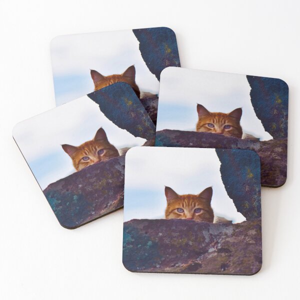 Item preview, Orange Cat designed and sold by Dana Hardy.