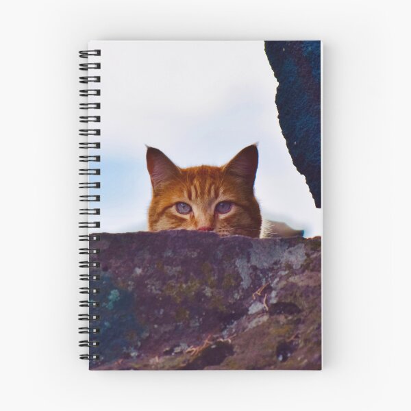 Artikelvorschau, Orangene Katze entworfen und verkauft von Dana Hardy.