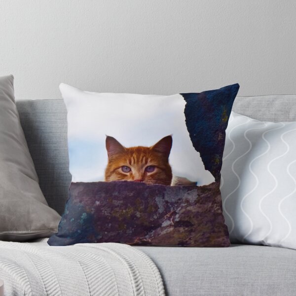 Item preview, Orange Cat designed and sold by Dana Hardy.