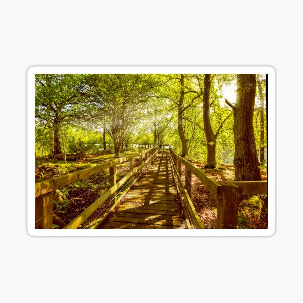 Item preview, Summer Boardwalk designed and sold by mhfore.
