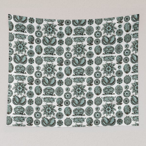 Item preview, Ernst Haeckel Ascidiae Sea Squirts Vintage Teal designed and sold by aimeewilson.