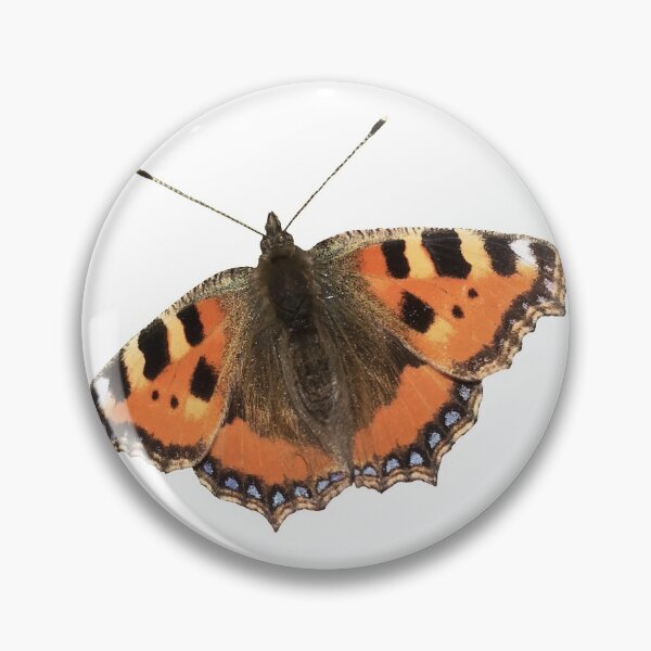 Item preview, butterfly photograph (no background) designed and sold by terididcote.