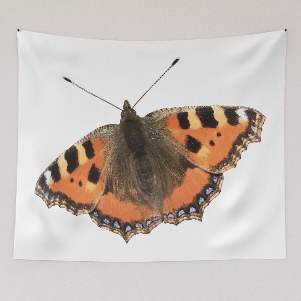Item preview, butterfly photograph (no background) designed and sold by terididcote.