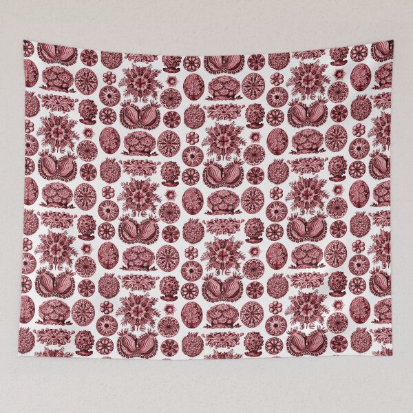Item preview, Ernst Haeckel Ascidiae Sea Squirts Red designed and sold by aimeewilson.