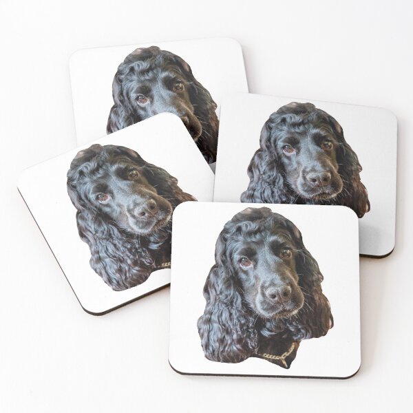 Item preview, Cocker Spaniel headshot designed and sold by Dalyndigital Photography.