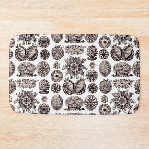 Item preview, Ernst Haeckel Ascidiae Sea Squirts Aubergine designed and sold by aimeewilson.