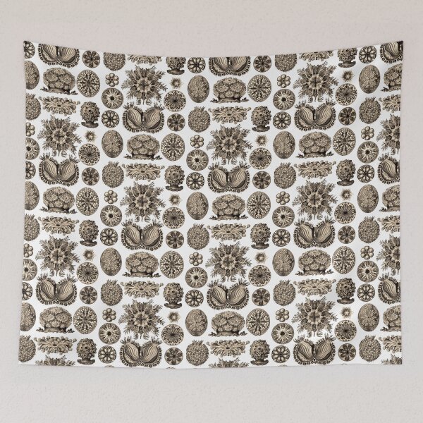 Item preview, Ernst Haeckel Ascidiae Sea Squirts Wenge designed and sold by aimeewilson.