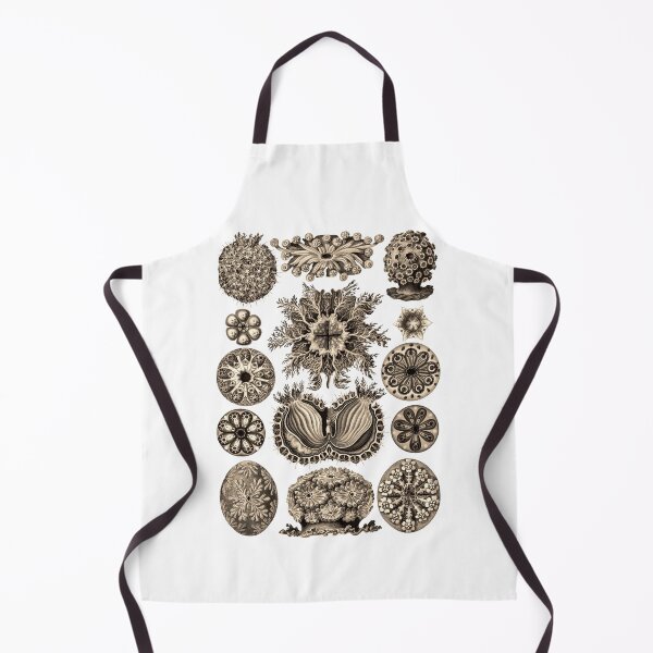 Item preview, Ernst Haeckel Ascidiae Sea Squirts Wenge designed and sold by aimeewilson.