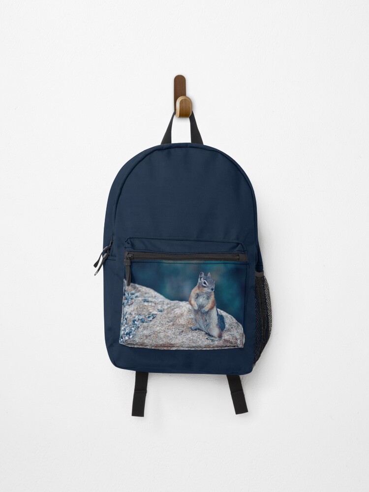 rocky mountain backpack
