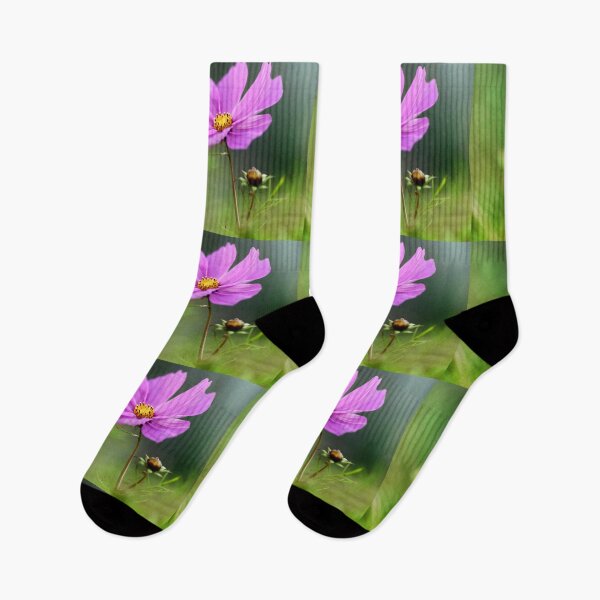 Item preview,  Soft Pink Cosmos. designed and sold by John Ray.