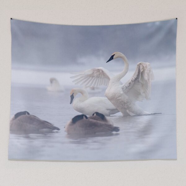 Item preview, Trumpeter Swans in the mist. designed and sold by Michael Cummings.