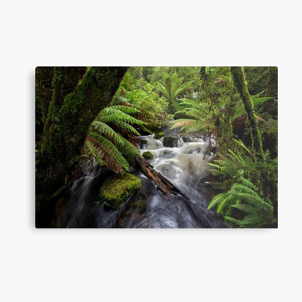 Small Water Cascade, Mt Field, Tasmania Metal Print