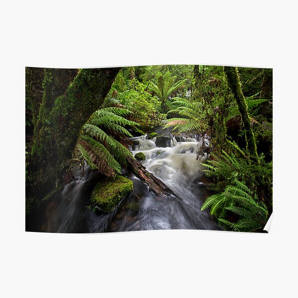 Small Water Cascade, Mt Field, Tasmania Poster