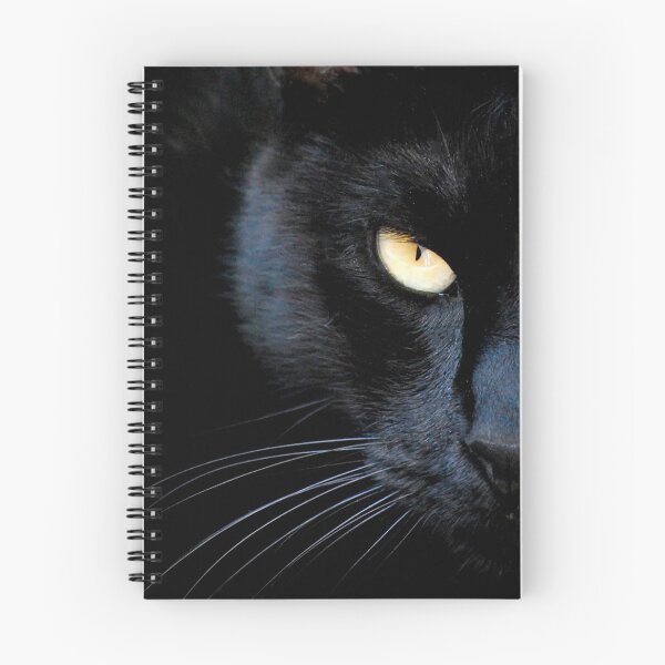 Item preview, BLACK CAT BY RAFFAELLA TONELLI designed and sold by Raffaella Tonelli.
