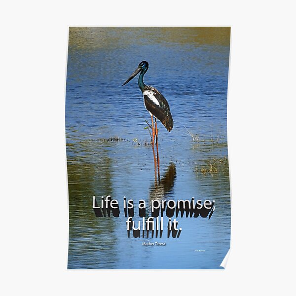 Life is a promise; fulfill it. Poster