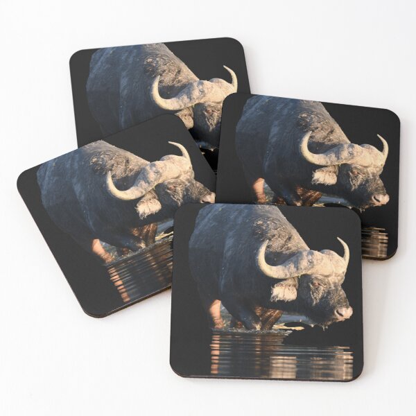 Item preview, Reflections of a Buffalo designed and sold by TeeZoneZtore.