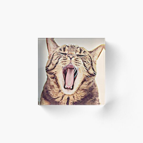 Wild Thing Tabby Cat Art Acrylic Block