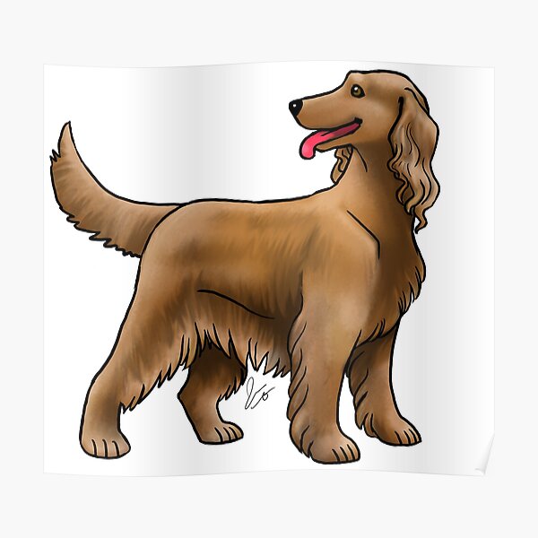 Irish Setter - Red Poster