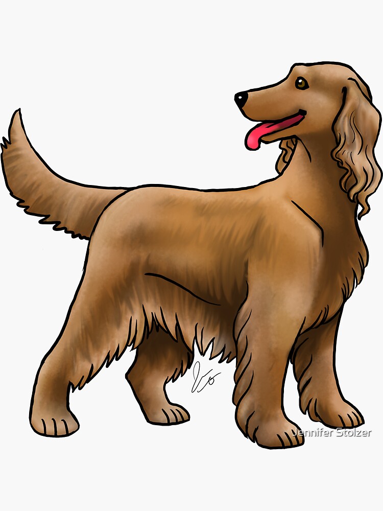Irish Setter - Red by jameson9101322