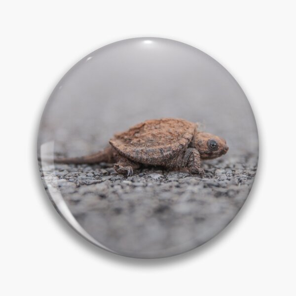 Item preview, Wild Baby Snapping Turtle  designed and sold by Stratus13.